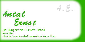 antal ernst business card